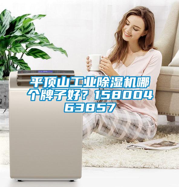 平頂山工業(yè)除濕機(jī)哪個牌子好？15800463857