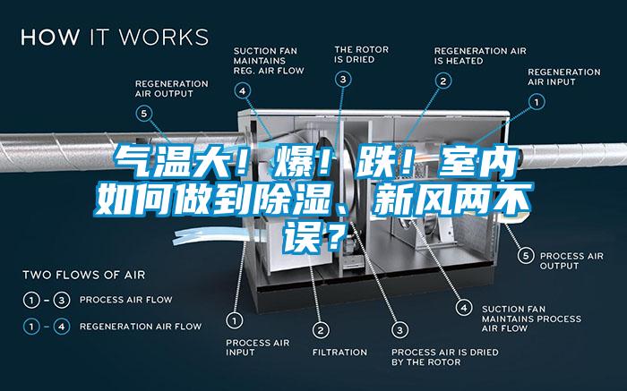 氣溫大！爆！跌！室內(nèi)如何做到除濕、新風(fēng)兩不誤？