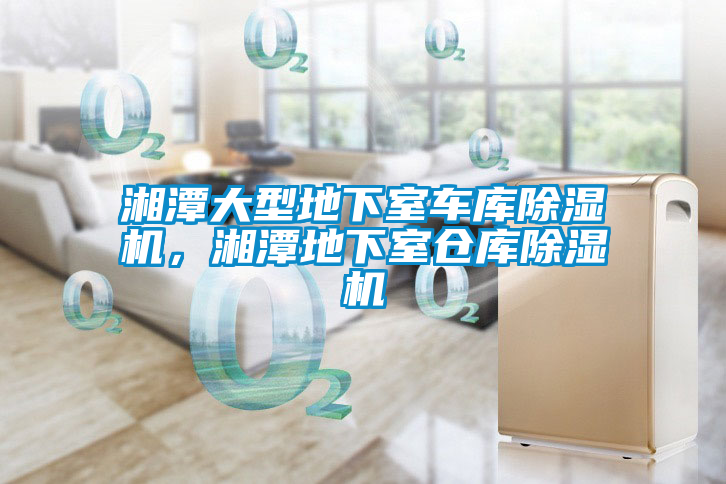 湘潭大型地下室車庫(kù)除濕機(jī)，湘潭地下室倉(cāng)庫(kù)除濕機(jī)