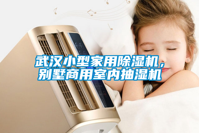 武漢小型家用除濕機(jī)，別墅商用室內(nèi)抽濕機(jī)