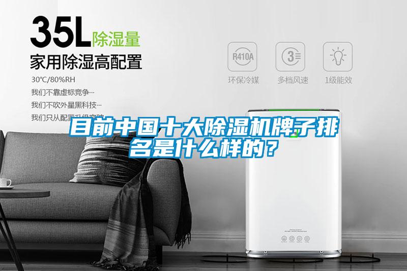 目前中國十大除濕機(jī)牌子排名是什么樣的？