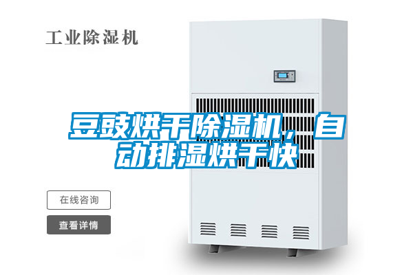豆豉烘干除濕機(jī)，自動排濕烘干快