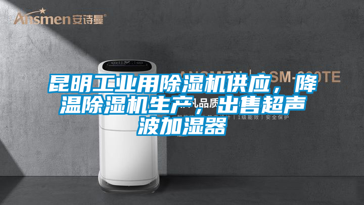 昆明工業(yè)用除濕機(jī)供應(yīng)，降溫除濕機(jī)生產(chǎn)，出售超聲波加濕器