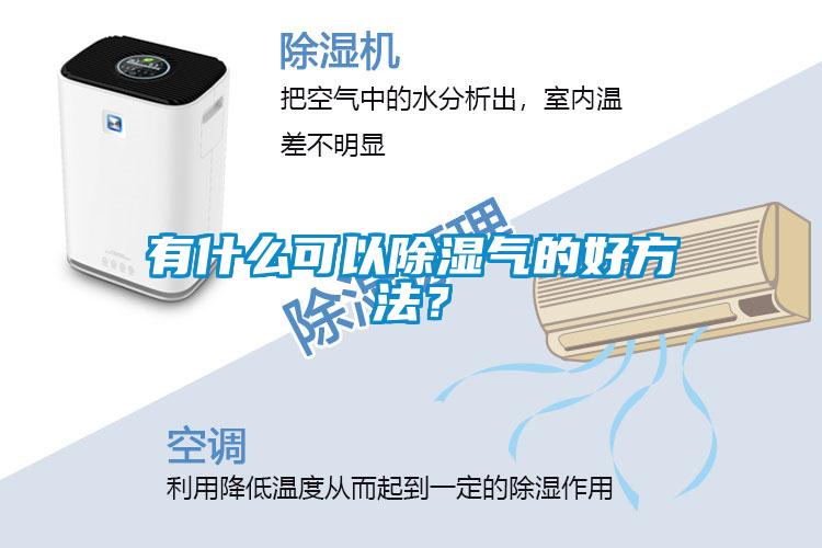 有什么可以除濕氣的好方法？