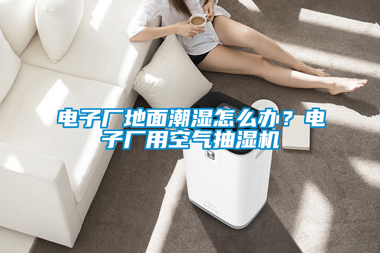 電子廠地面潮濕怎么辦？電子廠用空氣抽濕機(jī)