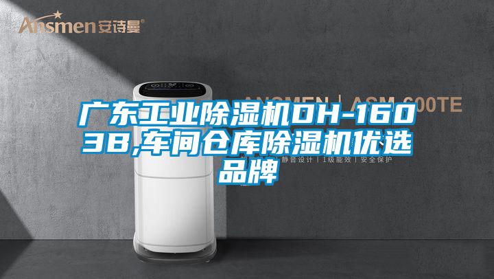 廣東工業(yè)除濕機(jī)DH-1603B,車間倉庫除濕機(jī)優(yōu)選品牌