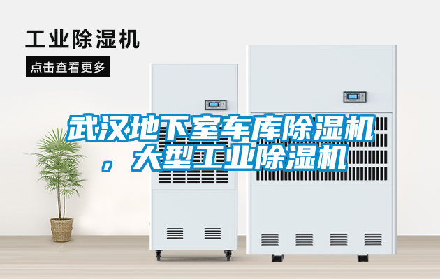 武漢地下室車庫除濕機，大型工業(yè)除濕機