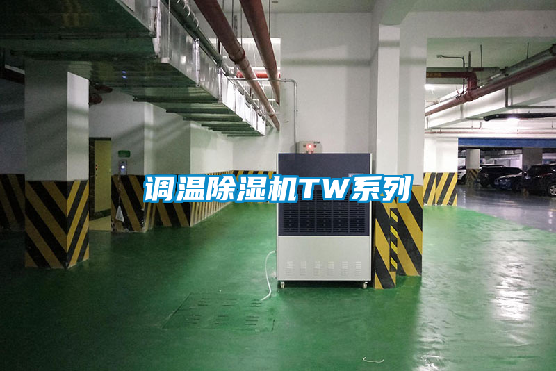 調(diào)溫除濕機TW系列