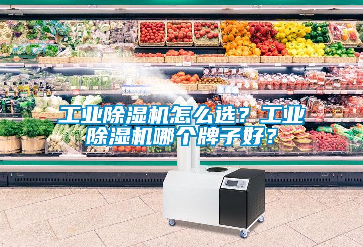 工業(yè)除濕機(jī)怎么選？工業(yè)除濕機(jī)哪個(gè)牌子好？