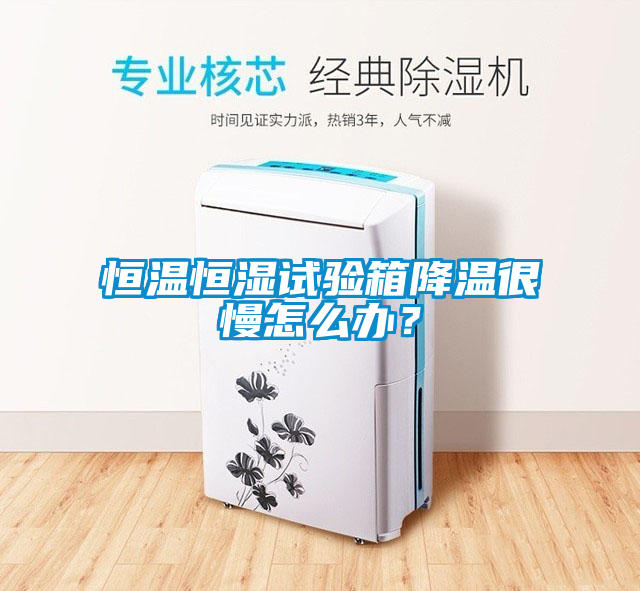 恒溫恒濕試驗箱降溫很慢怎么辦？
