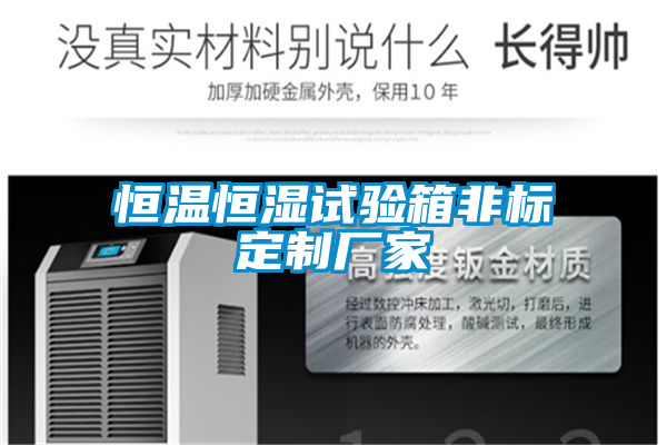 恒溫恒濕試驗(yàn)箱非標(biāo)定制廠(chǎng)家
