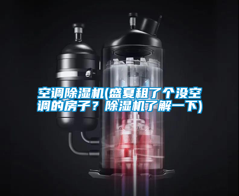 空調(diào)除濕機(jī)(盛夏租了個(gè)沒(méi)空調(diào)的房子？除濕機(jī)了解一下)