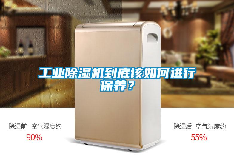工業(yè)除濕機(jī)到底該如何進(jìn)行保養(yǎng)？