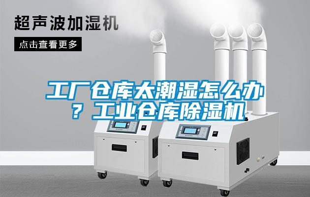 工廠倉庫太潮濕怎么辦？工業(yè)倉庫除濕機(jī)