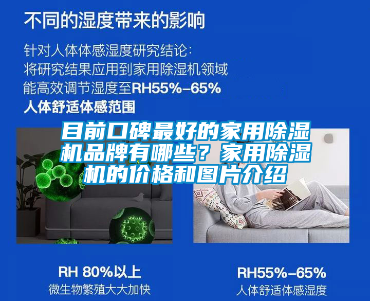 目前口碑最好的家用除濕機品牌有哪些？家用除濕機的價格和圖片介紹