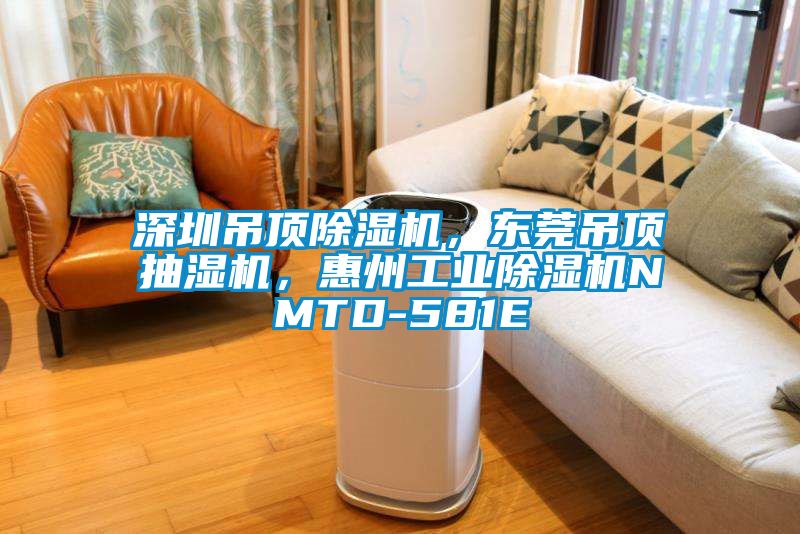 深圳吊頂除濕機(jī)，東莞吊頂抽濕機(jī)，惠州工業(yè)除濕機(jī)NMTD-581E