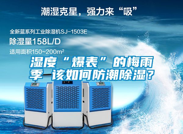 濕度“爆表”的梅雨季 該如何防潮除濕？