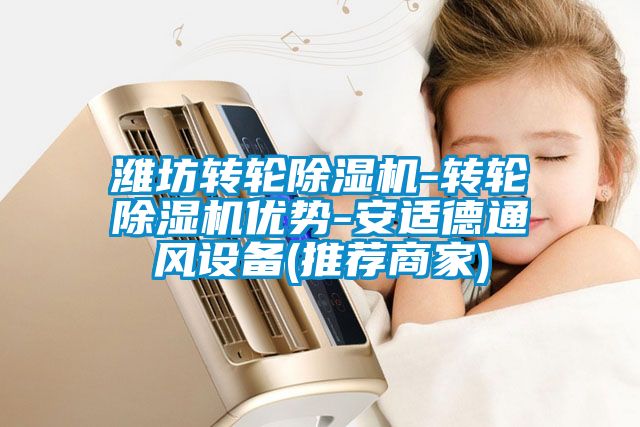濰坊轉(zhuǎn)輪除濕機(jī)-轉(zhuǎn)輪除濕機(jī)優(yōu)勢-安適德通風(fēng)設(shè)備(推薦商家)