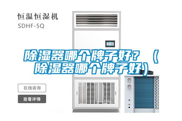 除濕器哪個(gè)牌子好？（除濕器哪個(gè)牌子好）