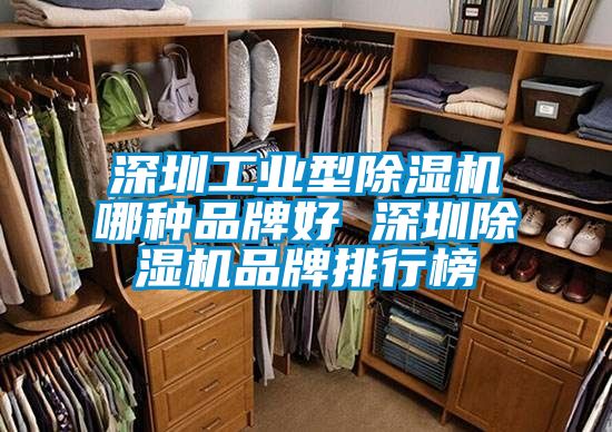 深圳工業(yè)型除濕機哪種品牌好 深圳除濕機品牌排行榜