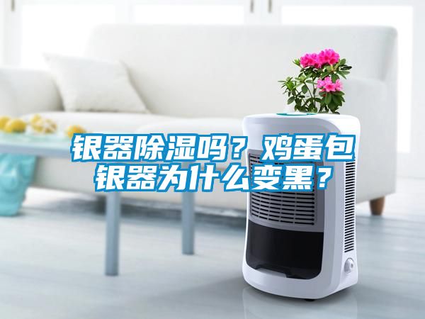 銀器除濕嗎？雞蛋包銀器為什么變黑？
