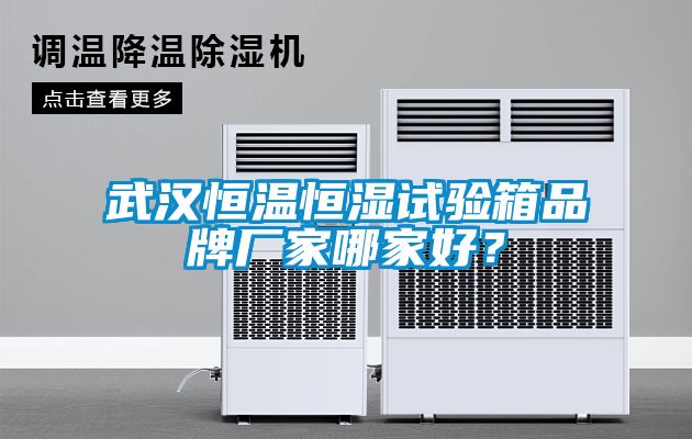 武漢恒溫恒濕試驗(yàn)箱品牌廠家哪家好？