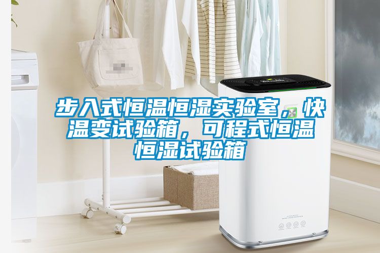 步入式恒溫恒濕實(shí)驗(yàn)室，快溫變試驗(yàn)箱，可程式恒溫恒濕試驗(yàn)箱
