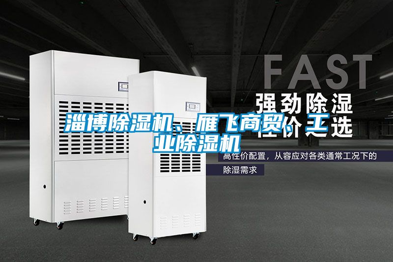 淄博除濕機(jī)、雁飛商貿(mào)、工業(yè)除濕機(jī)