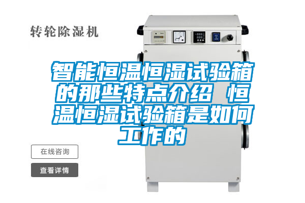 智能恒溫恒濕試驗箱的那些特點(diǎn)介紹 恒溫恒濕試驗箱是如何工作的