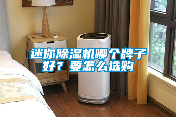迷你除濕機(jī)哪個(gè)牌子好？要怎么選購(gòu)