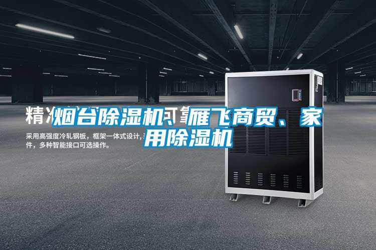 煙臺除濕機(jī)、雁飛商貿(mào)、家用除濕機(jī)