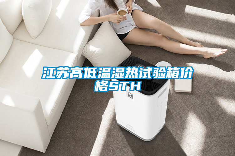 江蘇高低溫濕熱試驗(yàn)箱價格STH