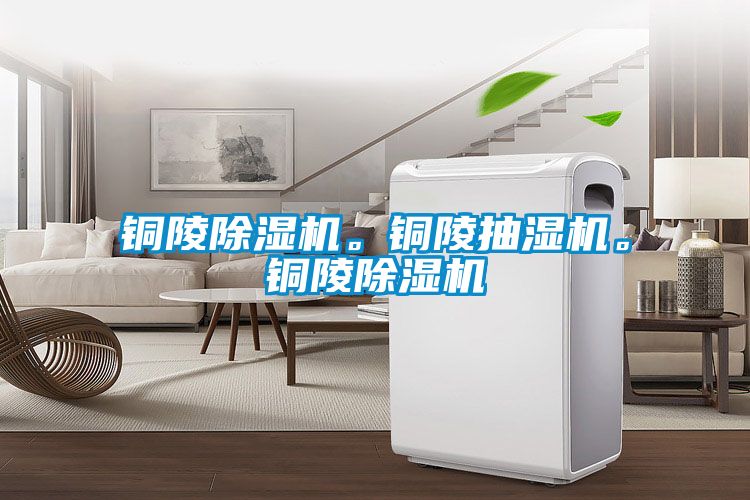 銅陵除濕機。銅陵抽濕機。銅陵除濕機