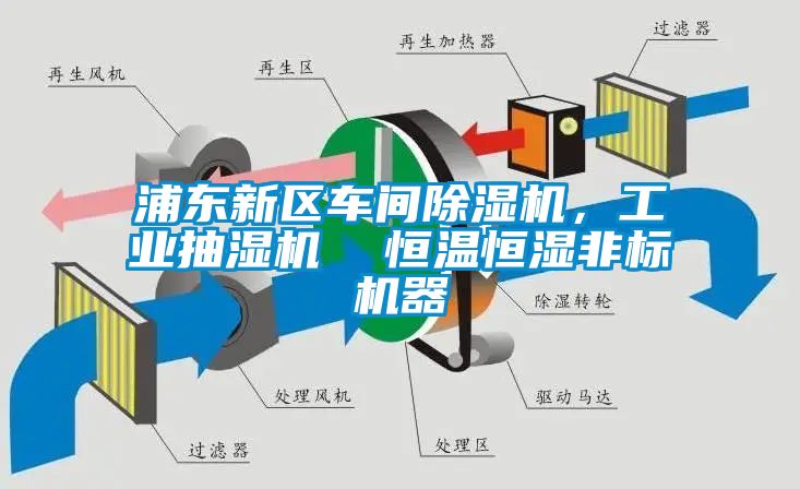 浦東新區(qū)車間除濕機，工業(yè)抽濕機  恒溫恒濕非標(biāo)機器