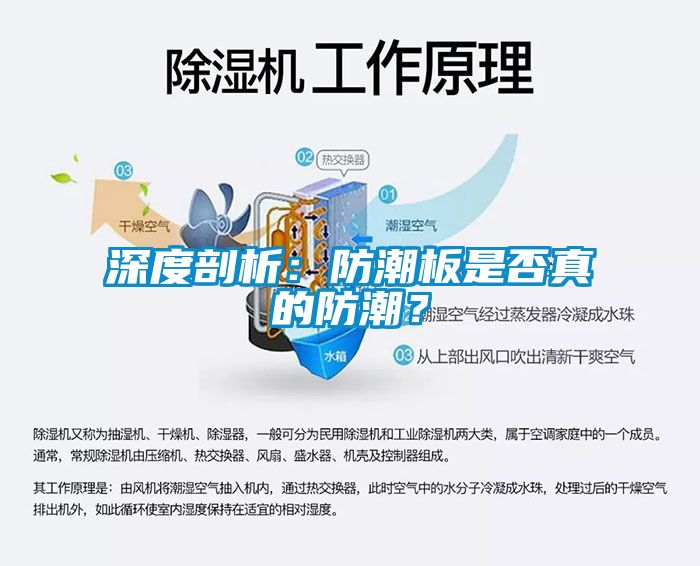 深度剖析：防潮板是否真的防潮？