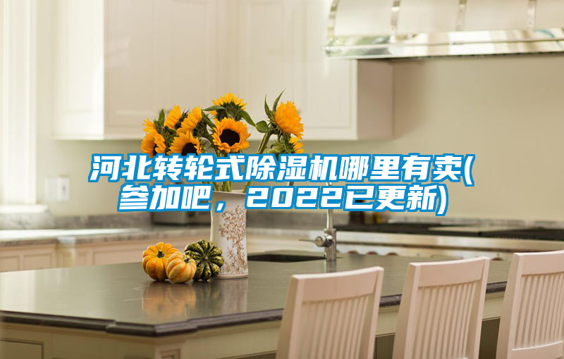 河北轉(zhuǎn)輪式除濕機(jī)哪里有賣(參加吧，2022已更新)