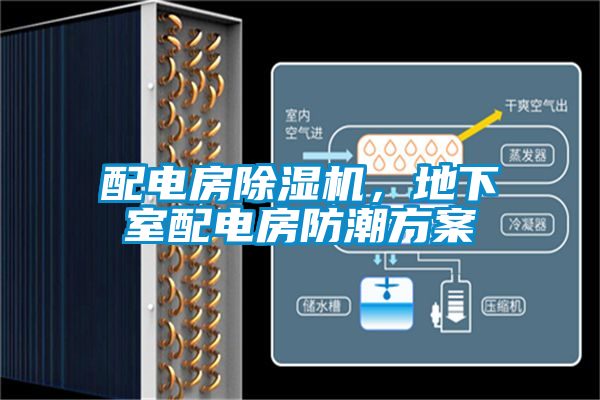 配電房除濕機(jī)，地下室配電房防潮方案