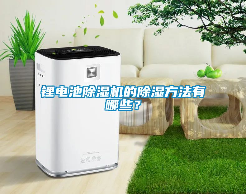鋰電池除濕機(jī)的除濕方法有哪些？
