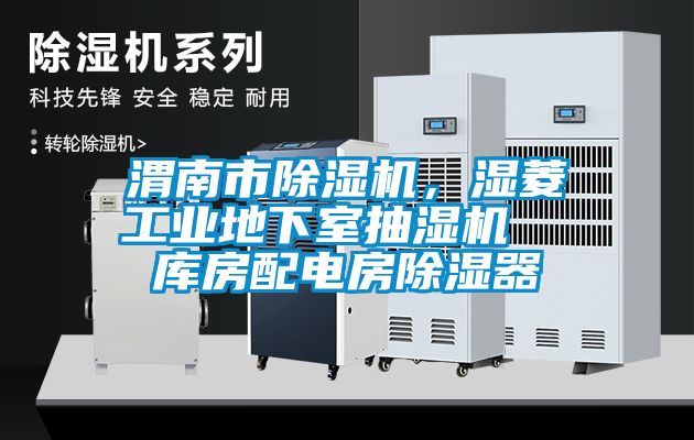 渭南市除濕機，濕菱工業(yè)地下室抽濕機  庫房配電房除濕器