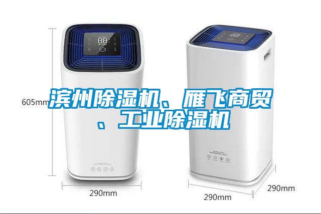 濱州除濕機(jī)、雁飛商貿(mào)、工業(yè)除濕機(jī)