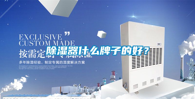除濕器什么牌子的好？