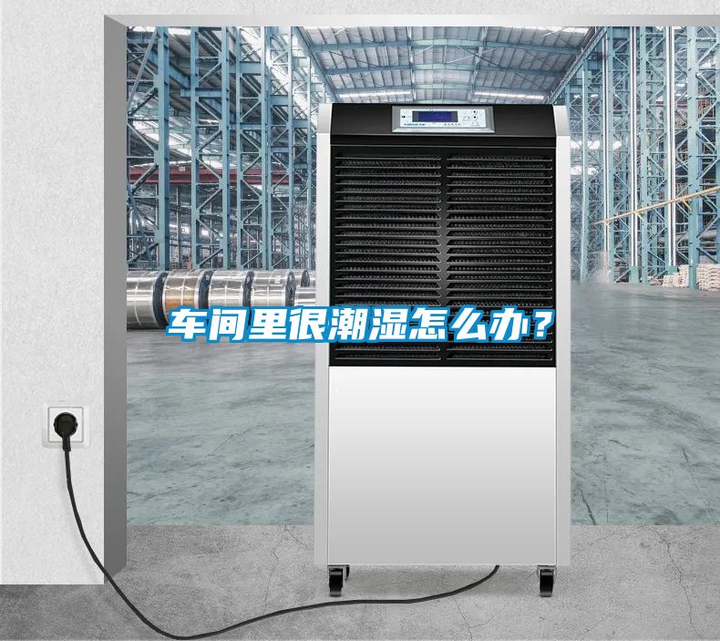 車間里很潮濕怎么辦？