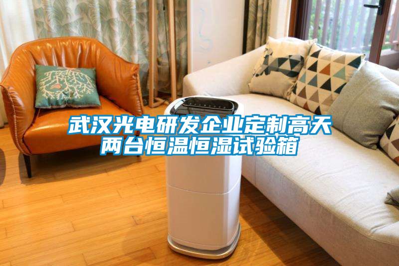 武漢光電研發(fā)企業(yè)定制高天兩臺恒溫恒濕試驗(yàn)箱