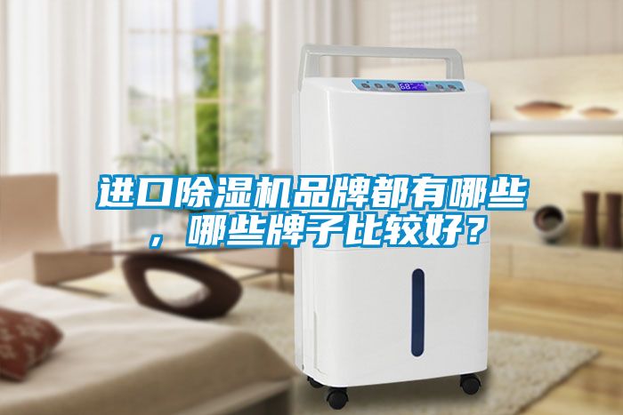 進(jìn)口除濕機(jī)品牌都有哪些，哪些牌子比較好？