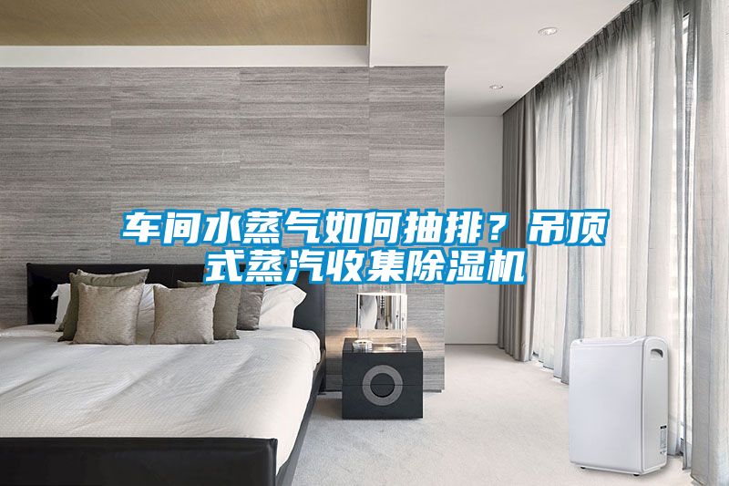 車間水蒸氣如何抽排？吊頂式蒸汽收集除濕機(jī)
