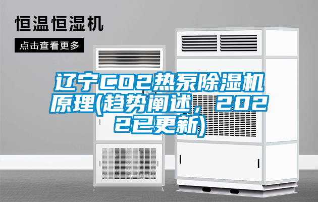 遼寧CO2熱泵除濕機(jī)原理(趨勢(shì)闡述，2022已更新)