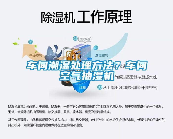 車間潮濕處理方法？車間空氣抽濕機
