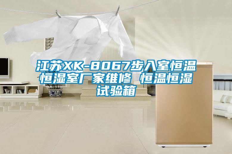 江蘇XK-8067步入室恒溫恒濕室廠(chǎng)家維修 恒溫恒濕試驗(yàn)箱