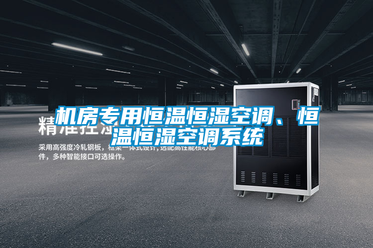 機(jī)房專用恒溫恒濕空調(diào)、恒溫恒濕空調(diào)系統(tǒng)