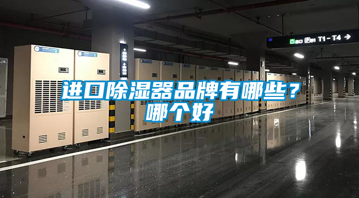 進口除濕器品牌有哪些？哪個好